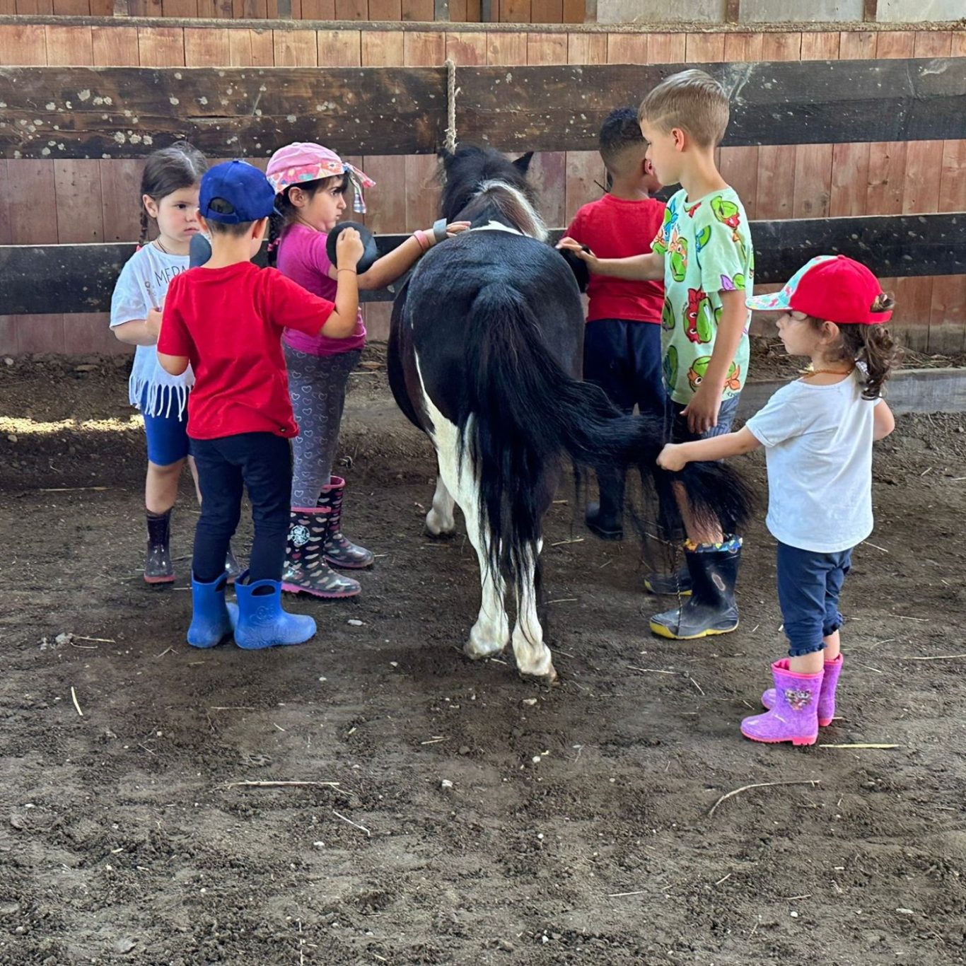 campus estivo equitazione vicino a Malpensa