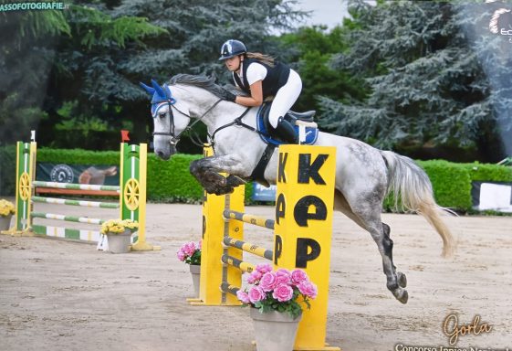Scuola di equitazione agonistica vicino a Malpensa