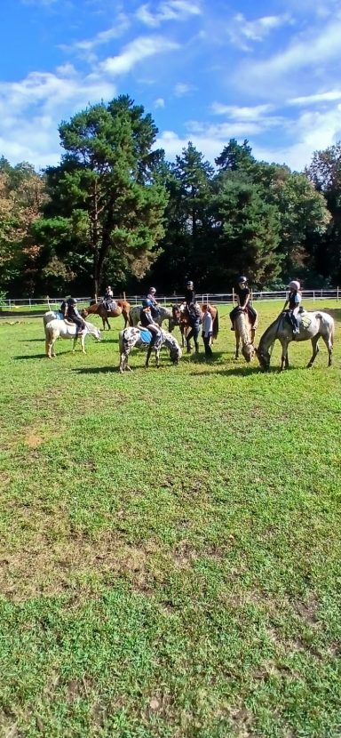 Centro Ippico Nuova Casper Horse Somma Lombardo