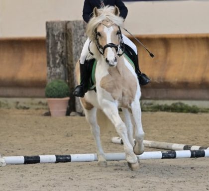 Scuola di equitazione a Somma Lombardo